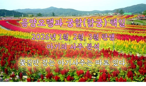 메인사진